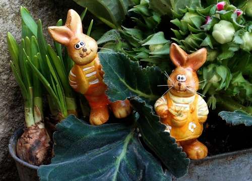 Easter Rabbit Decoration Festival Daffodils