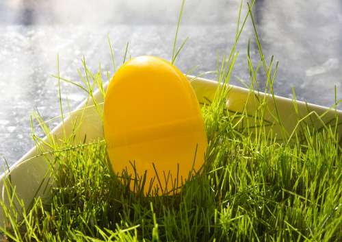 Easter Easter Egg Raeruoho Surprise Egg Egg
