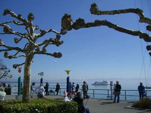 Easter Walk Lake Constance Sycamore Promenade