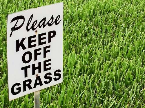 Ecology Protection Environment Sign Grass Summer