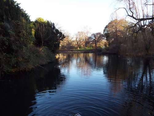 Edinburgh Botanic Gardens Water Feature Lake Nature