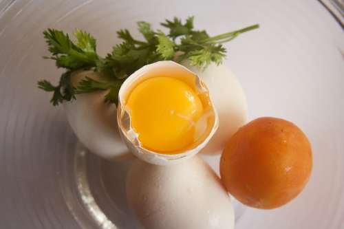 Egg Egg Yolk Yellow Cracked Open Protein Yolk