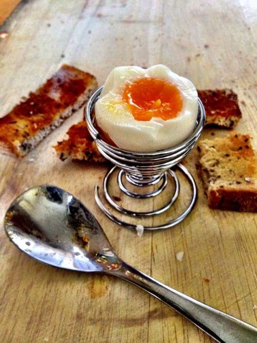 Egg Breakfast Eat Food Vintage Morning Healthy