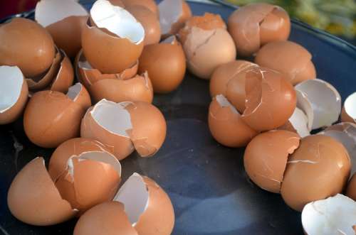 Egg Shell Shells Broken Cooking Chicken Food