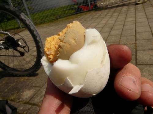 Egg Eggshell Bitten Yolk
