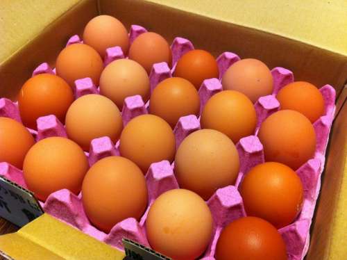 Egg Carton Box Of Eggs Egg Box Eggs Food Nutrition