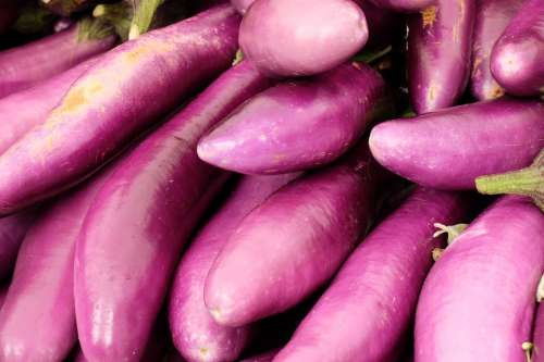 Eggplant Vegetables Healthy