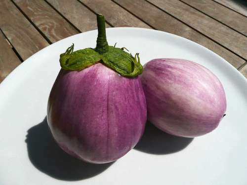 Eggplant Melanzana Cook Food Eat Solanum Melongena