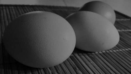 Eggs Black And White Hens