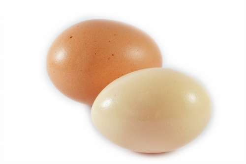 Eggs Food Protein Meals Tasty Omelet Sri Lanka