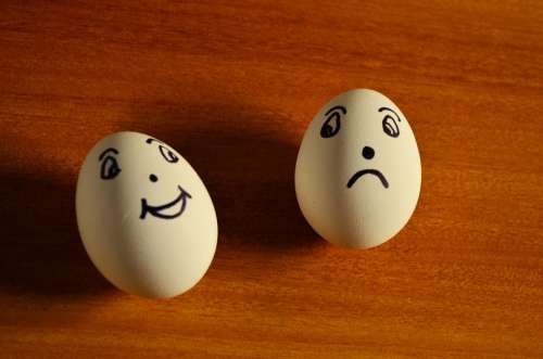 Eggs Expression Happy Sad Emoticons Funny