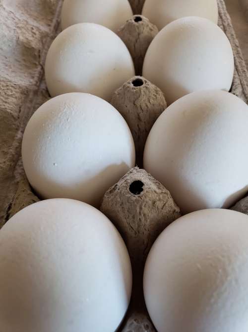 Eggs Dozen Food Carton Egg Raw Breakfast Protein