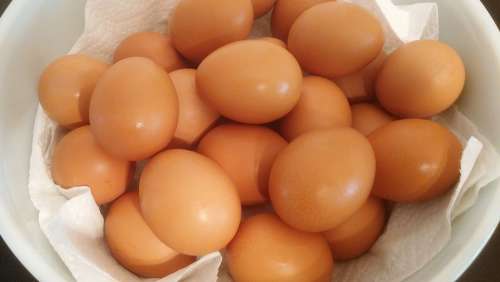 Eggs Food Egg Basket Shell Eggshell Brown Oval