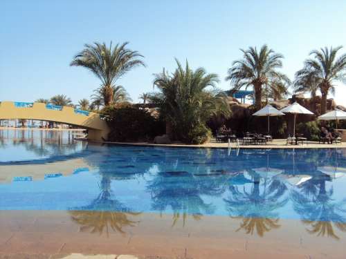 Egypt Taba Desert Swimming Pool Palm Trees Holiday