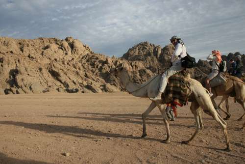 Egypt Adventure Camel Desert Africa