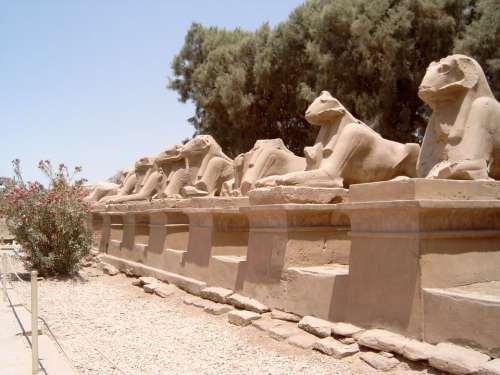 Egypt Temple Luxor Antiquities Image Culture
