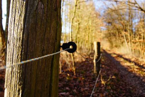 Electric Fence Away Fence Coupling Forest Trees