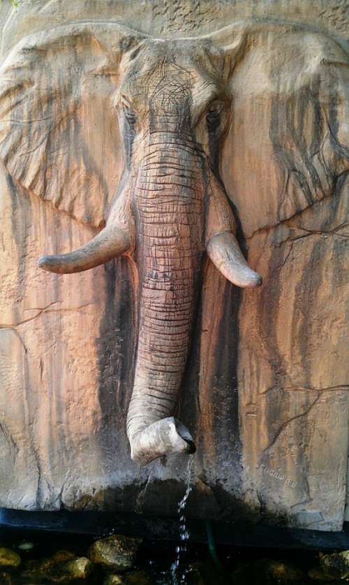 Elephant Head Fountain South Africa Franschhoek