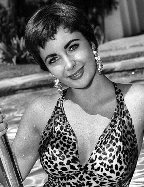 Elizabeth Taylor Actress Motion Pictures Movies