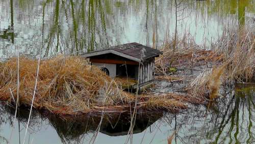 Entenhaus Aviary Lake Water House