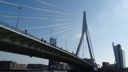 Erasmus Bridge Rotterdam Erasmus Bridge