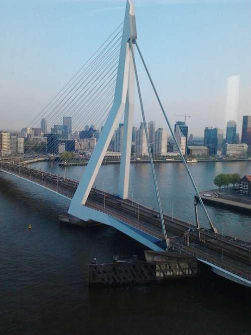 Erasmus Bridge Cable Stayed Bridge