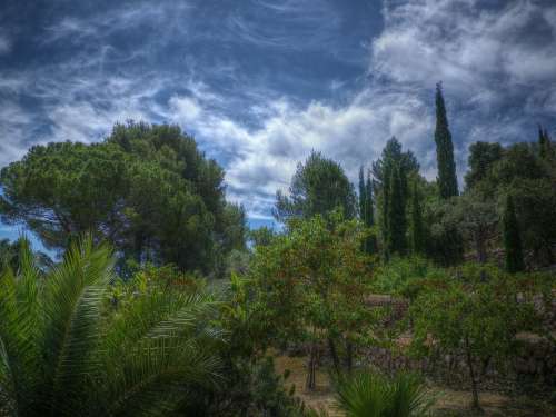 Esportees Mallorca Finca Summer Vacations Spain