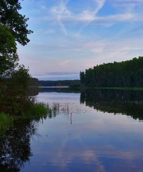 Evening Lake Water Blue Landscape Forest