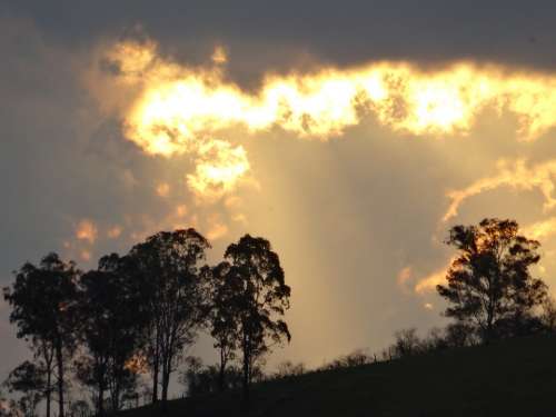 Eventide Sunset Trees Flames Landscape Sky