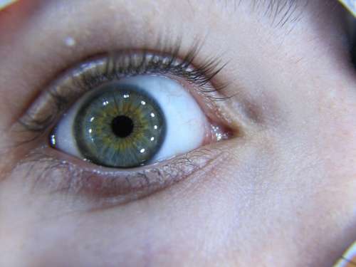 Eye Macro Iris Pupil