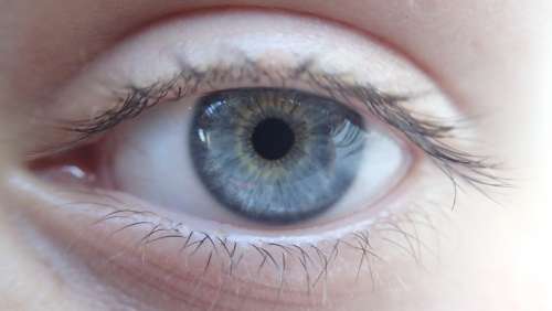 Eye Blue Eye Eyeball Pupil