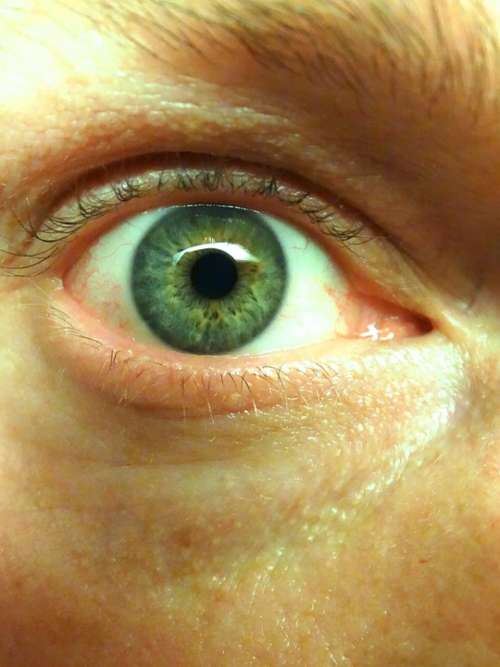 Eye Iris Eyelashes See Viewing