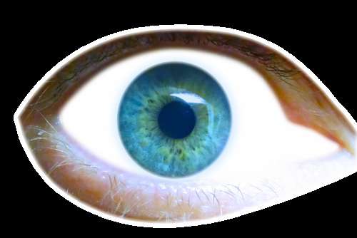 Eye Iris Eyelid View Look See Pupil