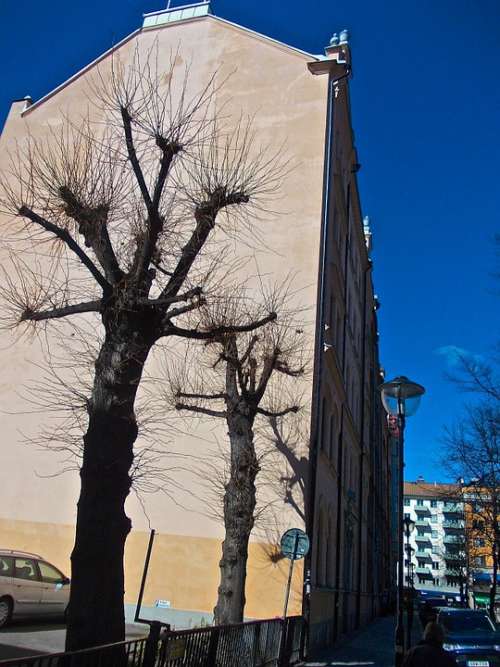 Facade Tree Shade Mariatorget Stockholm