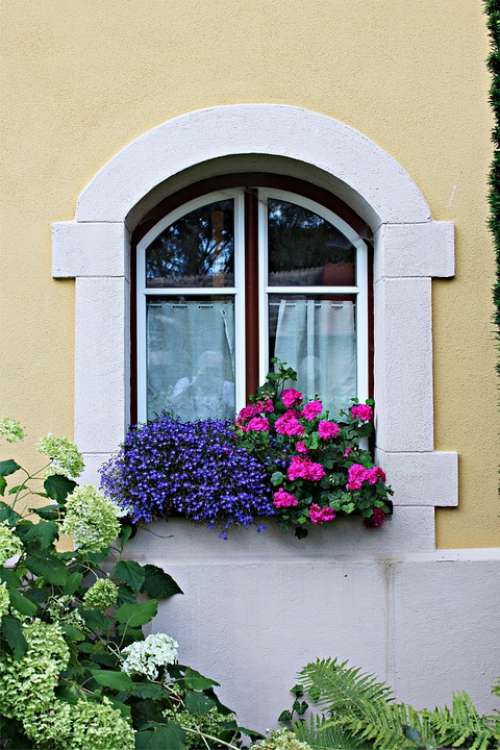 Facade Window Architecture Old Flower Blütenmeer