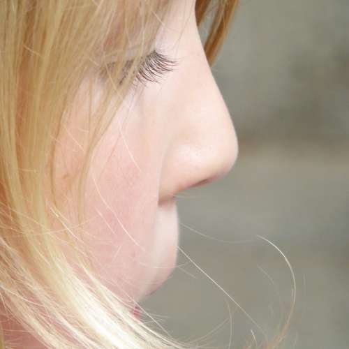 Face Child Girl Blond Profile