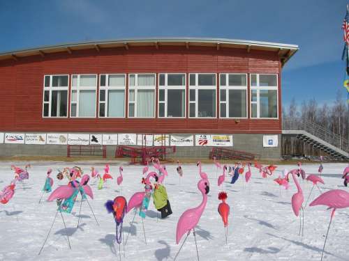 Fairbanks Alaska Building Ski Resort Winter Snow