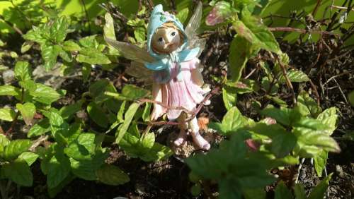 Fairy Fairy Tale Fantasy Doll Girl Child