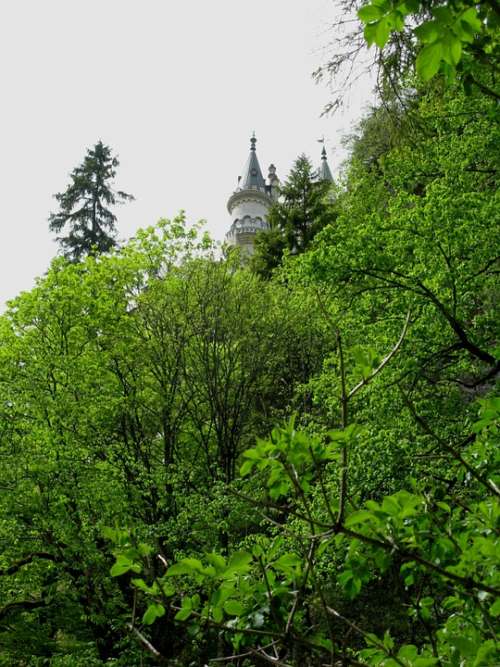 Fairy Castle Kristin Poellatschlucht Rock Spruce