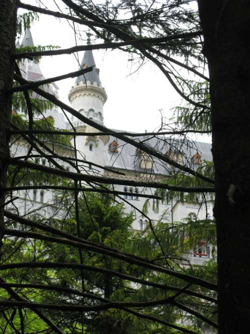 Fairy Castle Kristin Poellatschlucht Spruce Forest
