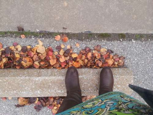 Fall Boots Autumn Female Weather Outdoor Leaves