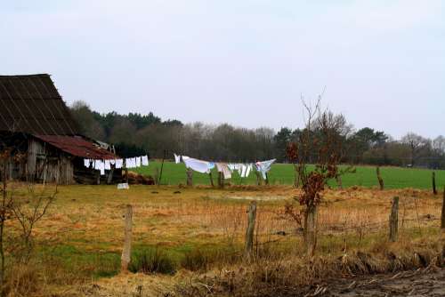 Farm Hof Clothes Line Fence Meadow Field