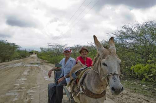 Farmers Donkey Wagon