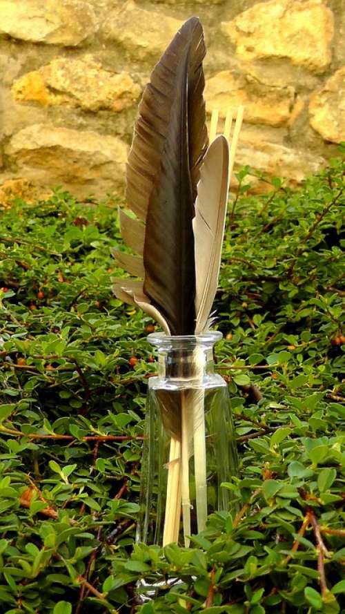 Feather Bird Feathers Vase Decoration