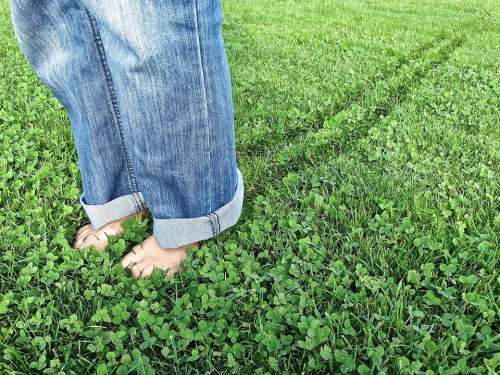 Feet Legs Pants Jeans Blue Green Meadow Traces