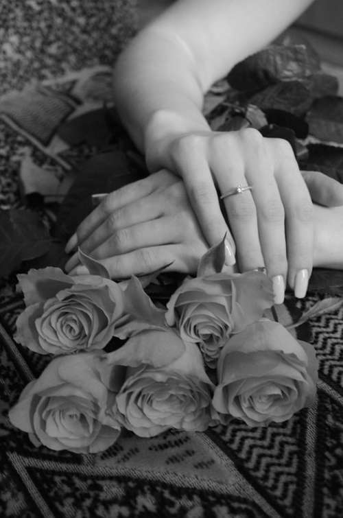 Female Hands Ring Engagement Flowers
