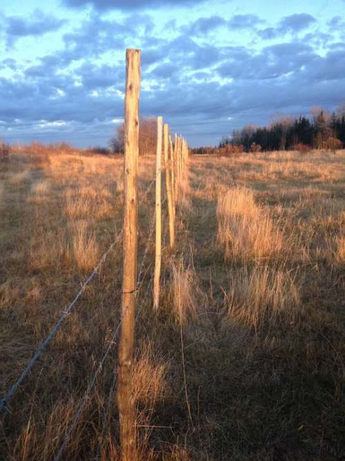 Fence Rural Dusk Autumn Perspective Evening
