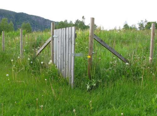 Fence Wood Post Wire Demarcation Meadow Grass