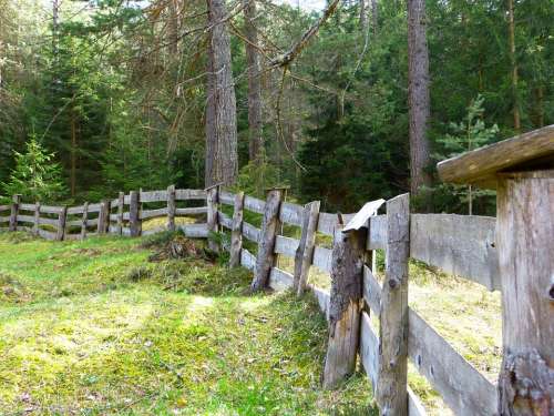 Fence Plank Fence Limit Wood