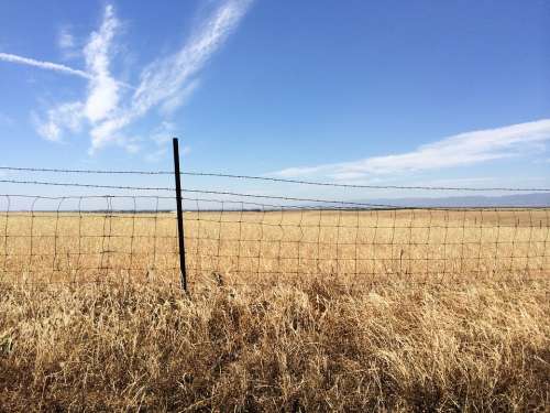 Fence Landscape Field Meadow Blue Sky Outdoor